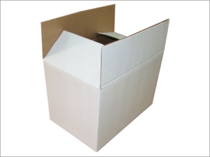 Hộp Carton Trắng - PCK26