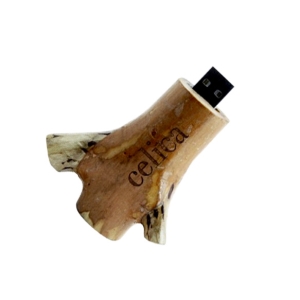Stump-USW33