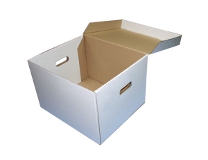 Hộp Carton Trắng - PCK26