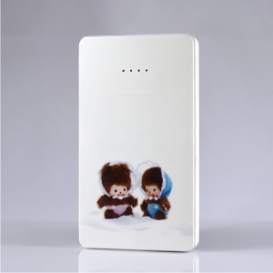 Pin dự phòng thời trang-FSP10