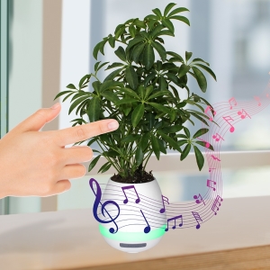 Custom Musical Planter & Wireless Speaker