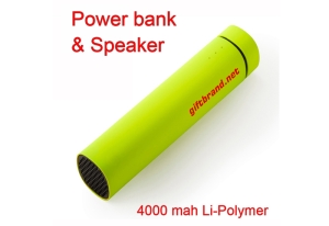 SPEAKER-PMF01