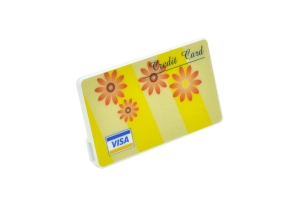 Pin dự phòng thời trang-FSP13