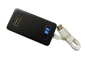 Pin dự phòng thời trang-FSP16