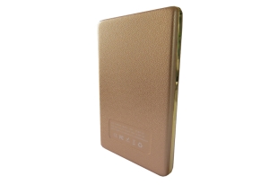 Pin dự phòng thời trang-FSP17
