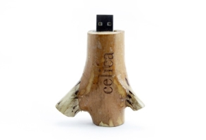 Stump-USW33