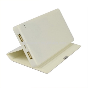 Pin dự phòng thời trang-FSP11