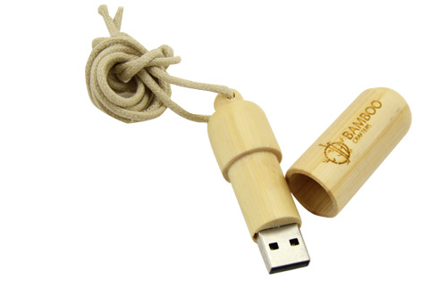 quà tặng doanh nghiệp usb tre usw22