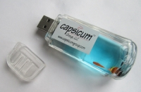 Bạn có thích những mẫu USB lạ mắt này không?